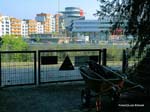 Humboldhain-019