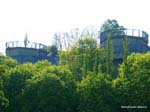 Humboldhain-020