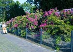 Humboldhain-088