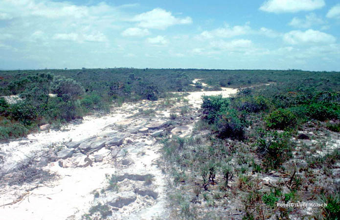 0564-00