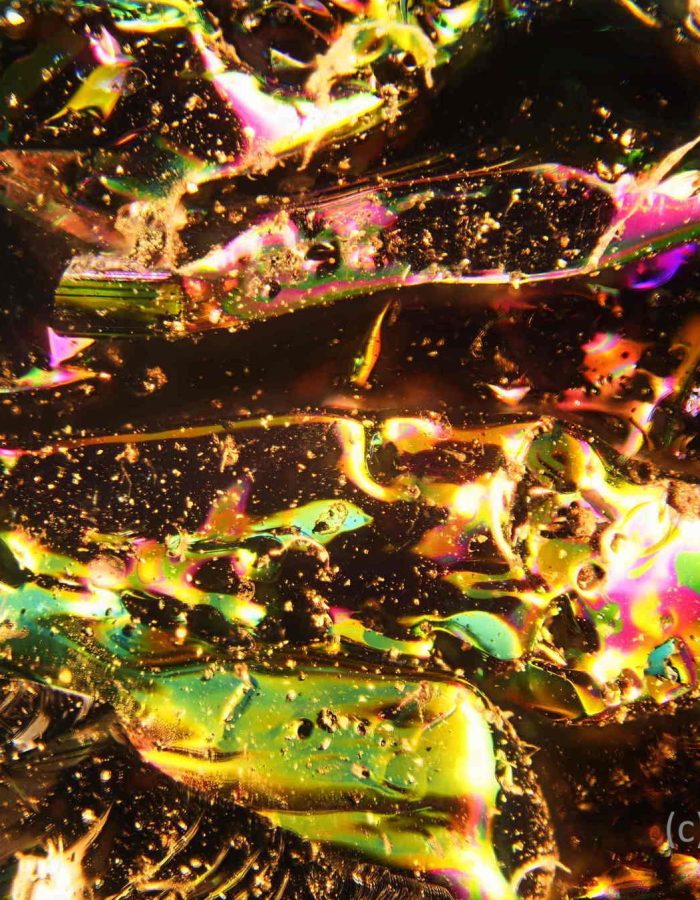 _F163061_63062___73299