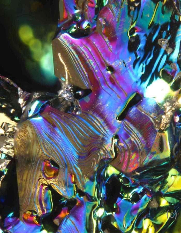 _F237944_7945___8006